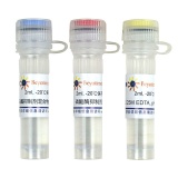 碧云天 蛋白酶磷酸酶抑制剂混合物(哺乳动物样品抽提用, 50X)(P1050)
