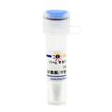 碧云天 Leupeptin (丝氨酸/半胱氨酸蛋白酶抑制剂)(SG2012-25mg)