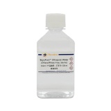碧云天 BeyoPure Ultrapure Water(DNase/RNase-Free)(BeyoPure超纯水,无核酸酶污染）(ST876-500ml)
