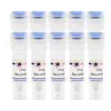 碧云天 Recombinant Protein G(重组蛋白G)(P5035-100mg)