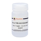 碧云天 BeyoLytic 哺乳动物活性蛋白抽提试剂(P0013M-100ml)