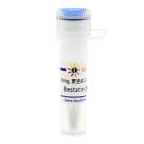 碧云天 Bestatin (氨肽酶抑制剂)(SG2008-100mg)