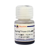 碧云天 BeyoMag Protein G Plus磁珠(P2106-5ml)