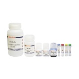 碧云天 免疫沉淀试剂盒(Protein A+G琼脂糖凝胶法)(P2197M)
