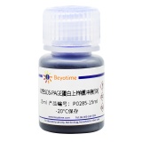 碧云天 双色SDS-PAGE蛋白上样缓冲液(5X)(P0285-15ml)