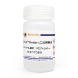 碧云天 SignalUp Western二抗稀释液(P0274-100ml)