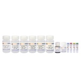 碧云天 BeyoChIP ChIP Assay Kit (Protein A/G磁珠)(P2080S)