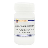 碧云天 SignalUp免疫染色检测增敏剂(P0276-100ml)