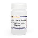 碧云天 SignalUp免疫染色一抗稀释液(P0277-100ml)