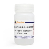 碧云天 SignalUp免疫染色二抗稀释液(P0278-100ml)