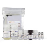 碧云天 Rat Adiponectin ELISA Kit(大鼠脂联素酶联免疫吸附检测试剂盒)(PA005)