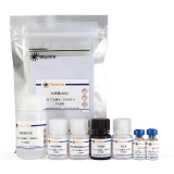 碧云天 Human/Mouse/Rat ACTH ELISA Kit(促肾上腺皮质激素酶联免疫吸附检测试剂盒)(PA009)