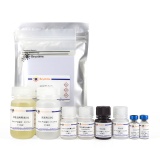 碧云天 Mouse/Rat Clusterin ELISA Kit(小鼠/大鼠Clusterin ELISA试剂盒)(PC179)