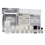 碧云天 Mouse HGF ELISA Kit(小鼠HGF抗体预包被板)(PH395)