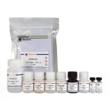 碧云天 Human IL-10 ELISA Kit (High-sensitive)(高敏型人白细胞介素10ELISA试剂盒)(PI536)