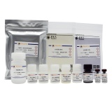 碧云天 Mouse IL-4 ELISA Kit (High-sensitive试剂盒)(PI613)
