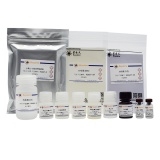 碧云天 Mouse IL-33 ELISA Kit (试剂盒)(PI627)