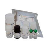 碧云天 Human IL-37 ELISA Kit （人IL-37 ELISA试剂盒 ）(PI652)
