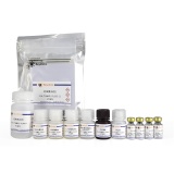 碧云天 Human LIF ELISA Kit(人白血病抑制因子酶联免疫吸附检测试剂盒)(PL695)