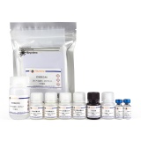 碧云天 Human TotalMMP-3 ELISA Kit(人TotalMMP-3 ELISA试剂盒)(PM750)