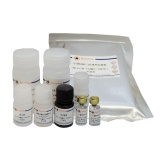 碧云天 Mouse MMP-3 ELISA Kit （小鼠MMP-3 ELISA试剂盒 ）(PM748)