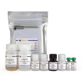 碧云天 Human Osteopontin ELISA Kit(人骨桥蛋白酶联免疫吸附检测试剂盒)(PO809)