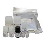 碧云天 Mouse P-selectin/CD62P ELISA Kit （小鼠P-selectin/CD62P ELISA试剂盒）(PP781)