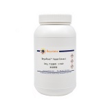 碧云天 BeyoPure Yeast Extract/BeyoPure酵母膏(ST969)