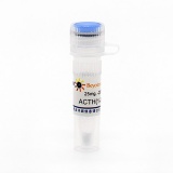 碧云天 ACTH(1-24) human (人促肾上腺皮质激素, 1-24)(P9019-25mg)