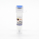 碧云天 Octreotide Acetate (醋酸奥曲肽)(P9046-25mg)