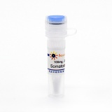碧云天 Somatostatin Acetate (醋酸生长抑素)(P9077-100mg)