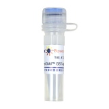 碧云天 BeyoGold GST-tag Purification Resin(GST标签蛋白纯化介质)(P2250)