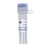 碧云天 BeyoGold GST-tag Purification Resin(GST标签蛋白纯化介质)(P2250)