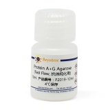 碧云天 Protein A+G Agarose (Fast Flow, 抗体纯化用)(P2019-10ml)