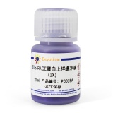 碧云天 SDS-PAGE蛋白上样缓冲液(1X)(P0015A)