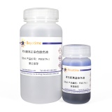 碧云天 考马斯亮蓝染色试剂盒(常规法)(P0017A)