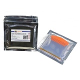 碧云天 BeyoGel SDS-PAGE预制胶(Tris-Gly, 10%, 12孔)(P0052A)