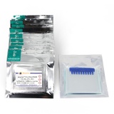 碧云天 BeyoGel Plus PAGE预制胶(Tris-Gly, 10%, 10孔)(P0455M)