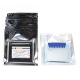 碧云天 BeyoGel Plus PAGE预制胶(Tris-Gly, 12%, 10孔)(P0458S)