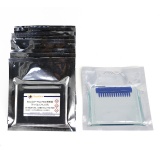 碧云天 BeyoGel Plus PAGE预制胶(Tris-Gly, 12%, 15孔)(P0459S)