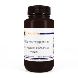 碧云天 8% SDS-PAGE下层胶预混液(P0678-250ml)
