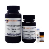 碧云天 12% SDS-PAGE凝胶超快速配制试剂盒(P0692)