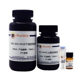 碧云天 15% SDS-PAGE凝胶超快速配制试剂盒(P0695)