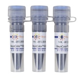 碧云天 BeyoColor彩色预染蛋白分子量标准(15-120kD)(P0080)