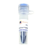 碧云天 BeyoColor彩色预染蛋白分子量标准(15-120kD)(P0078)