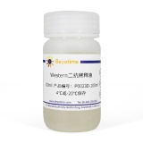 碧云天 Western二抗稀释液(P0023D-100ml)