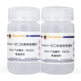 碧云天 Western一抗二抗去除液(酸性)(P0025S)