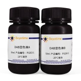 碧云天 DAB辣根过氧化物酶显色试剂盒(P0203)