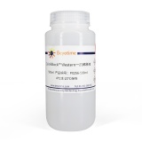 碧云天 QuickBlock Western一抗稀释液(P0256-500ml)