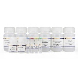 碧云天 ChIP Assay Kit(染色质免疫沉淀检测试剂盒)(P2078)